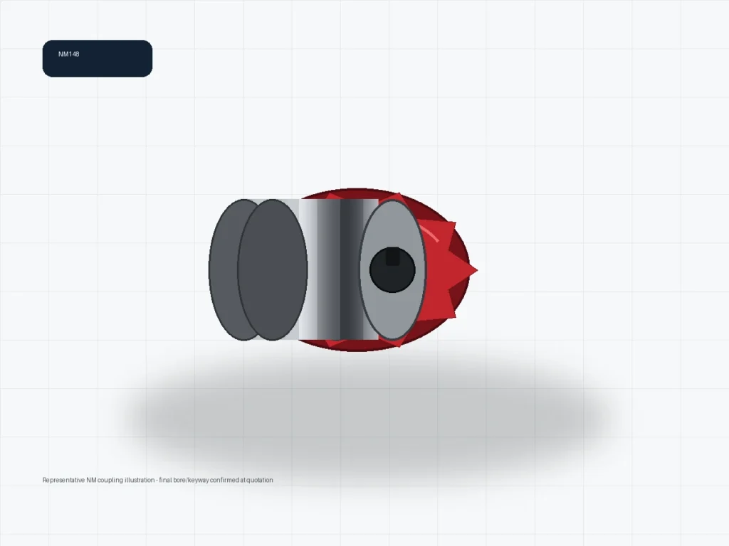 NM148 NM flexible coupling representative illustration