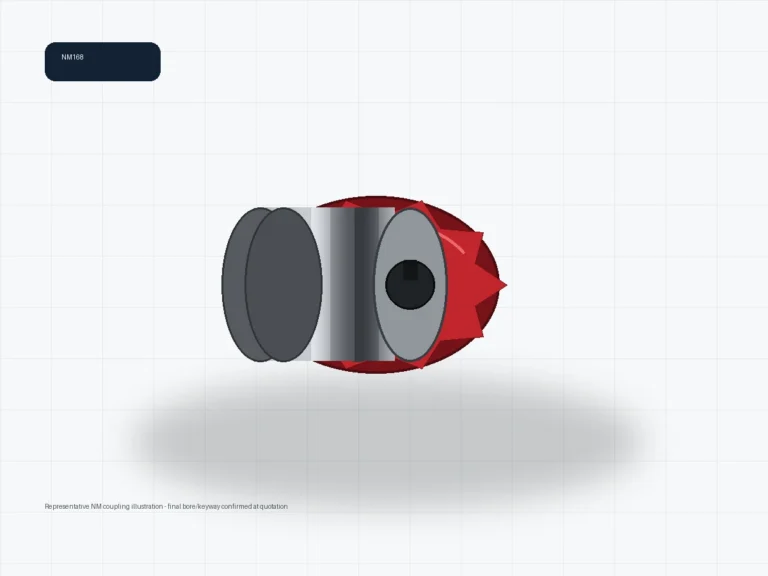 NM168 NM coupling representative illustration