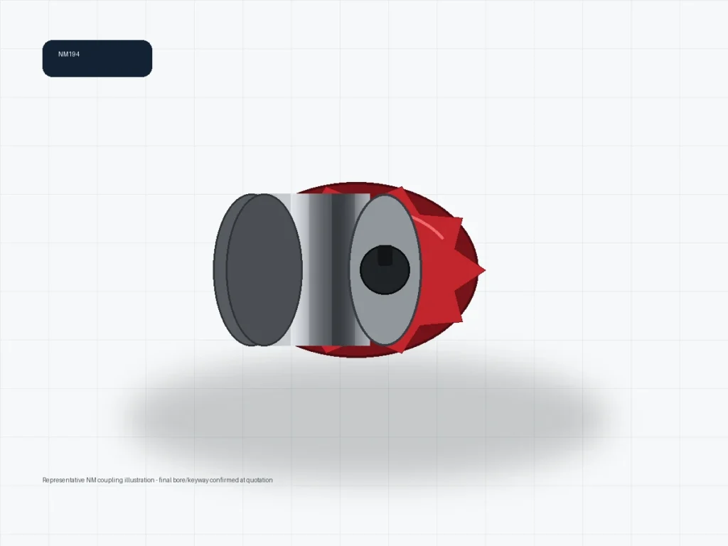 NM194 NM flexible coupling representative illustration